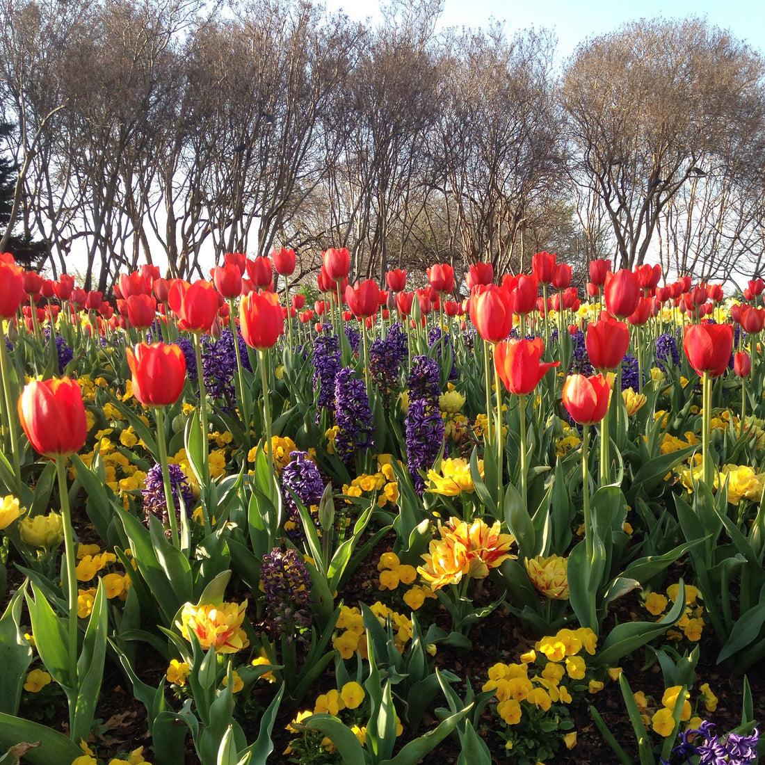 What a Beautiful Day!