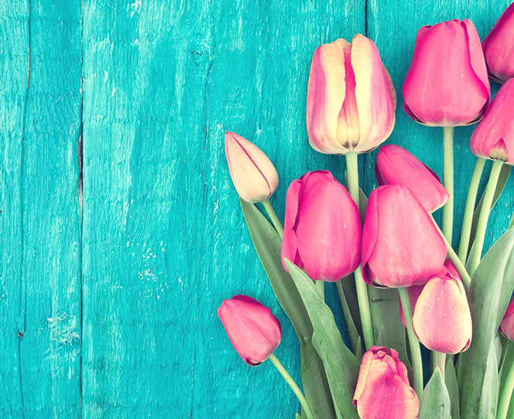 April Showers With TRUE